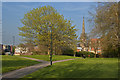 A park with a view of a church