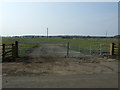NZ1781 : Gated farm track near North Saltwick by JThomas