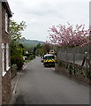 Wyesham Avenue, Wyesham