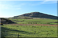 Farmland at Liggetcheek