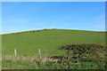 Farmland at Corseclays