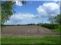 Looking across the fields to St Helen