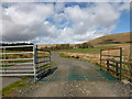 Cattle grid on road to Clenries