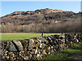 Roadside wall at Ardura Cottage