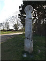 TM3956 : Sculpture at Iken Cliff Picnic site by Geographer