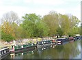 Narrow boats on the River Lea at Clapton