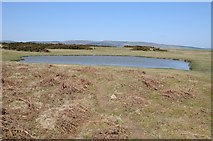 SO2556 : Pond on Hergest Ridge by Philip Halling