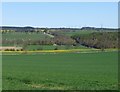 Fields of cereal and oil seed rape 