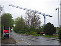 Crane near Rye Road