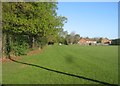 Playing Fields off Beta Road