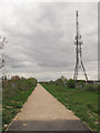 TQ4679 : Telecoms mast by the Ridgeway  by Stephen Craven