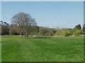 Watermeadows, Painshill Park