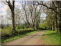 ST1818 : Lane to Chelmsine by Derek Harper