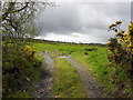 Cavanalee Townland