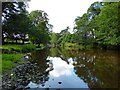 River Carron downstream of Dunipace Bridge [3]