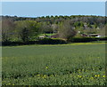 View towards The Crofts Rugby Football Club