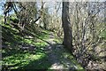 Bridleway on the border