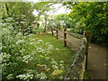 Timber fence by footpath through Blatchington Court Woods, Seaford