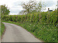 Footpath sign in the hedge