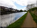 View Along The Towpath