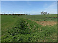 Ditch near Henham Lodge