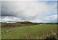 Farmland near Burnside of Duntrune