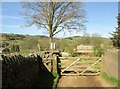 Track  and  gate  into  Bouthwaite