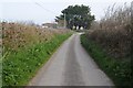 Country road near Abbotsham