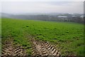 Farmland at Abbotsham Cross