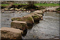 NY1700 : Stepping Stones, River Esk, Cumbria by Peter Trimming