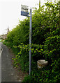 TM3865 : Dorleys Corner Bus Stop sign by Geographer