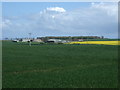 Crop field towards Kentstone