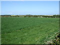 NU2227 : Crop field near Tughall Mill by JThomas
