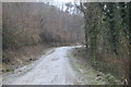 Path into the Plym Valley