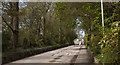 The farm road towards Goosnargh