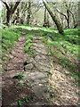 Bridleway below Thornhill Farm