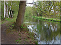 Basingstoke Canal, Woking