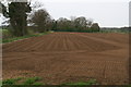 Down the furrows to Ash Holt, near Glentham Cliff