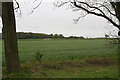 Reservoir bank through the trees on Norton Lane