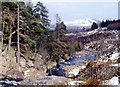 Linn of Muick, the river from the top of the fall