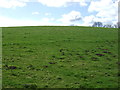 NU2002 : Hillside grazing by JThomas