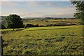 Towards Ashwood Dale