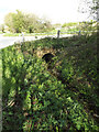 Culvert under Heveningham Long Lane