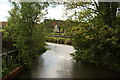 View of the River Lea from Thornton Street