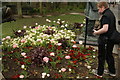 A marvellous display of roses on Mill Bridge #2