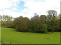 Fields and Kyre Brook, Stoke Bliss