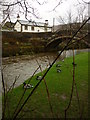 Bridge over the Dunsop