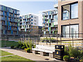 TL4657 : CB1 Cambridge city housing development by Julian Paren