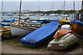 Dinghy park by the Folly Inn, River Medina