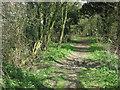 Bridleway from Mole Hall